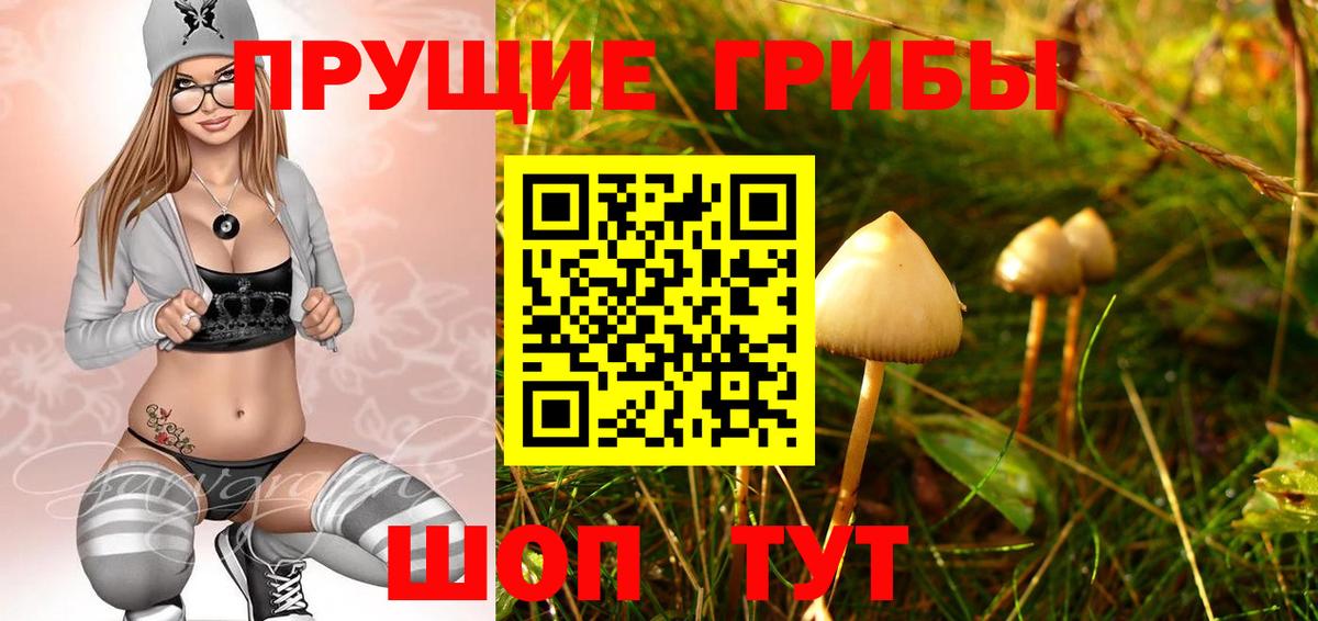 Псилоцибиновые грибы прущие грибы  Псилоцибиновые грибы прущие грибы  Вход с VPN  Домодедово 